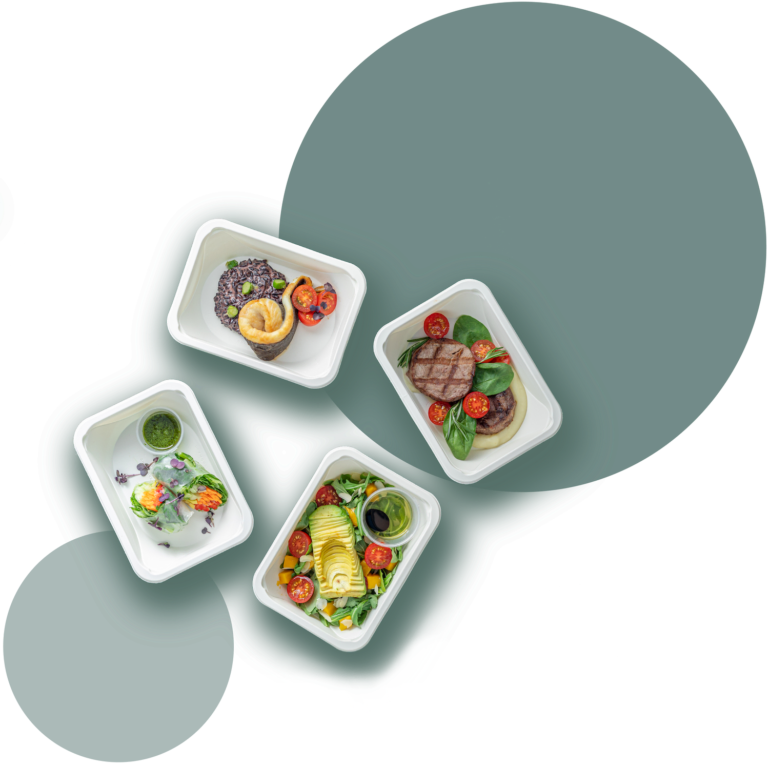 Премиальное питание из свежих натуральных продуктов